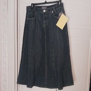 MaxMara Blue Midi A-Line Skirt Pleated Casual